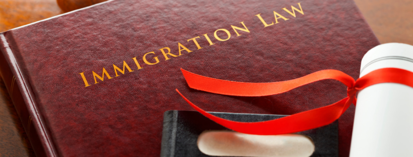 Immigration Courses for Professionals, Enthusiasts, and Everyone in Between